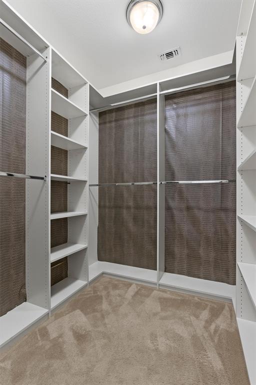 spacious closet with carpet flooring