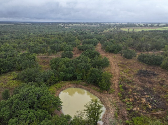 1055 County Road 150, Comanche TX, 76442 land for sale