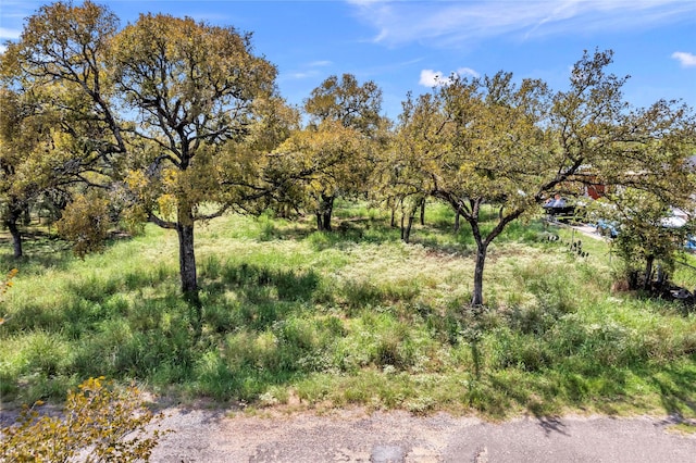 Listing photo 2 for TBD E Maple Dr, Granite Shoals TX 78654