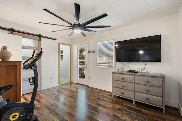 workout area with dark hardwood / wood-style flooring, a barn door, a drop ceiling, and ceiling fan