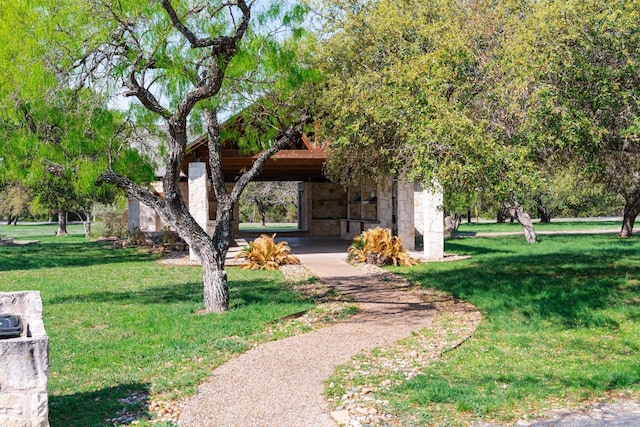 view of community with a yard