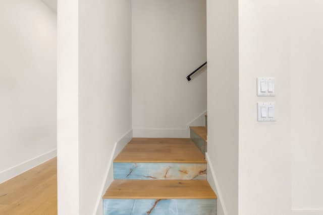 stairway with wood-type flooring