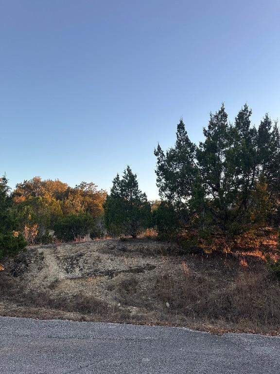 21503 Perry Cv, Lago Vista, TX 78645