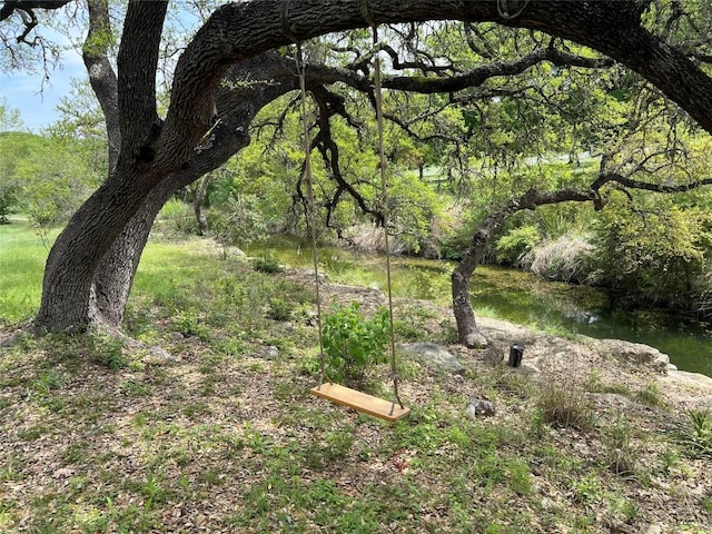 222 Winn Valley Dr, Wimberley, TX 78676 - view of local wilderness