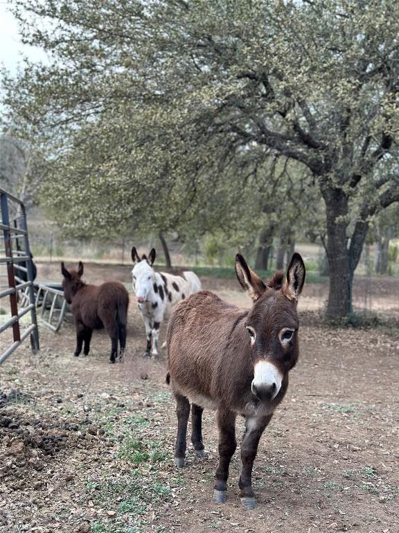 222 Winn Valley Dr, Wimberley, TX 78676 - photo 34