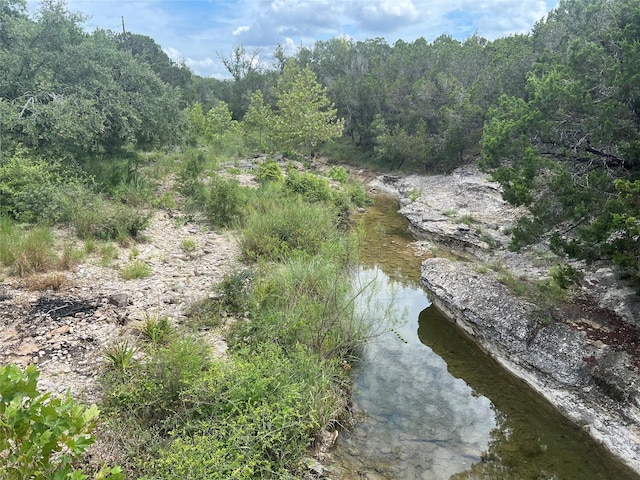 view of local wilderness