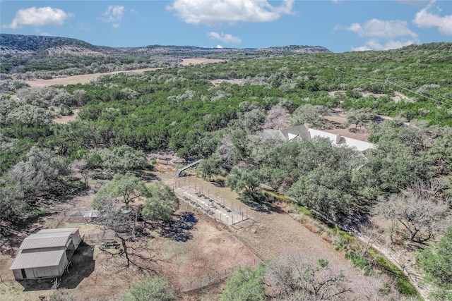 drone / aerial view featuring a mountain view