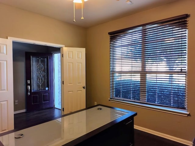 entrance foyer featuring dark wood-type flooring