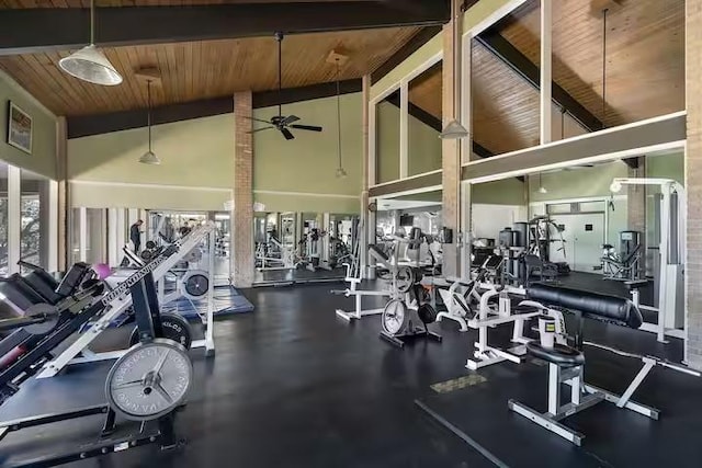 workout area with ceiling fan, high vaulted ceiling, and wooden ceiling