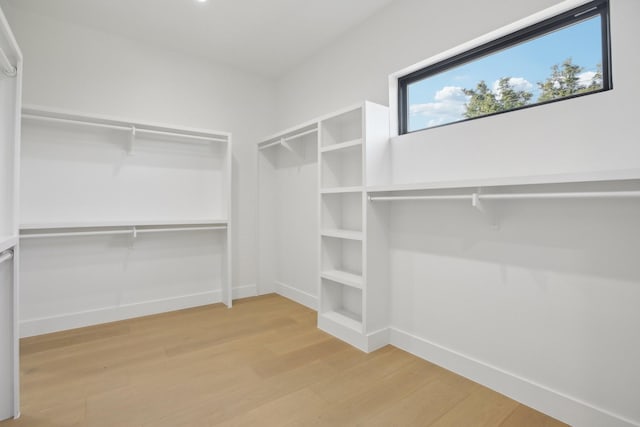 spacious closet featuring light wood-type flooring