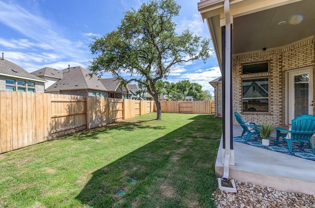 view of yard featuring a patio area