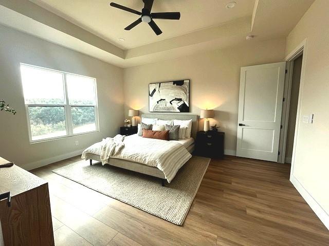 bedroom featuring hardwood / wood-style floors, a tray ceiling, and ceiling fan