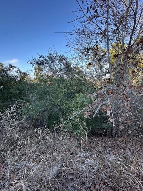 0TBD Kula Ct, Bastrop, TX 78602 - photo 5