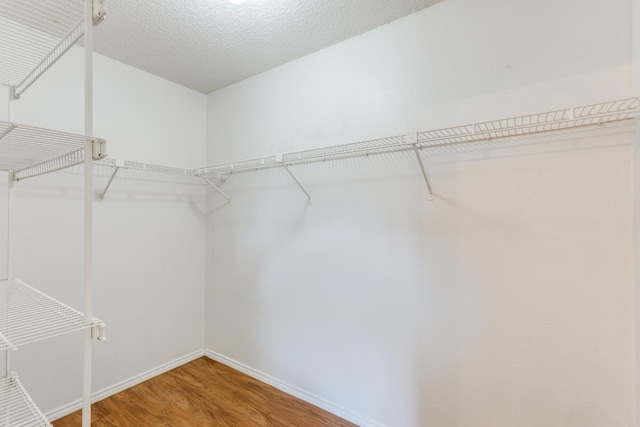 walk in closet featuring wood-type flooring