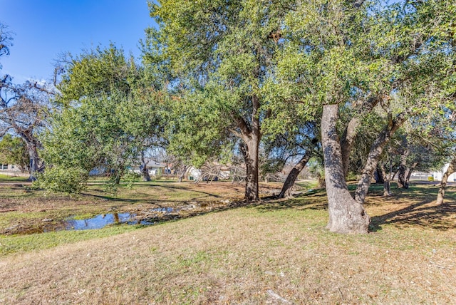 view of yard featuring a water view