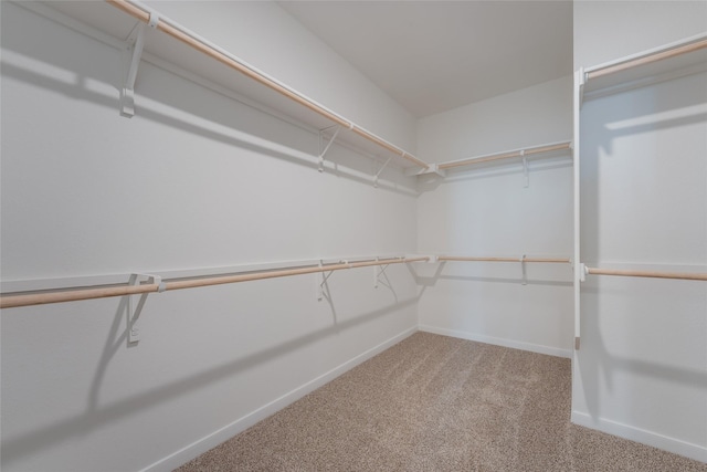 spacious closet featuring light carpet