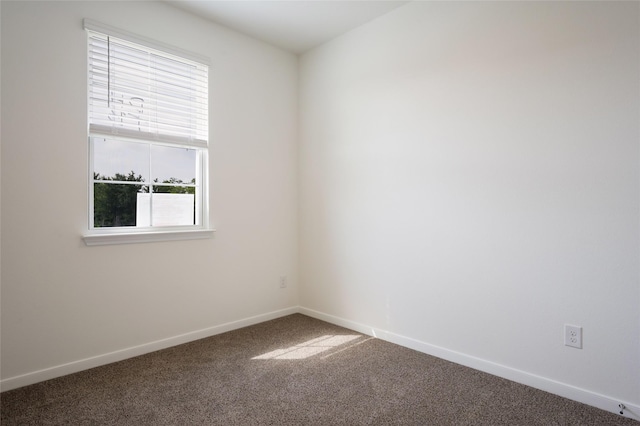 spare room with carpet floors