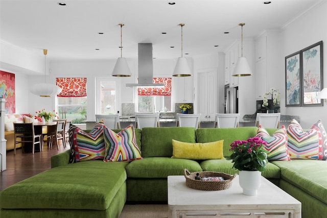 living room featuring dark wood-style flooring