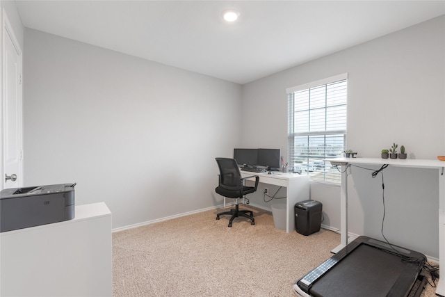 office with plenty of natural light and light colored carpet