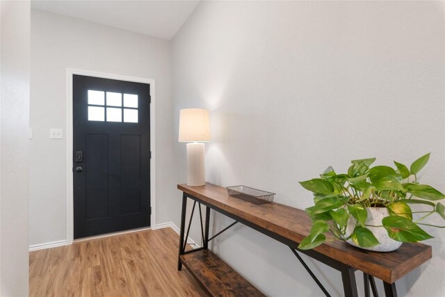 foyer entrance with light hardwood / wood-style flooring