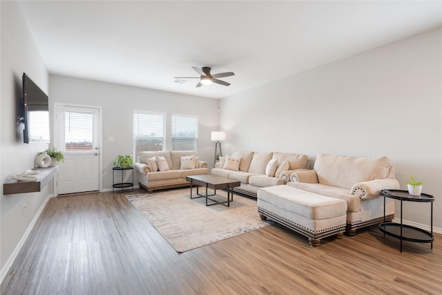 living room with ceiling fan and hardwood / wood-style flooring