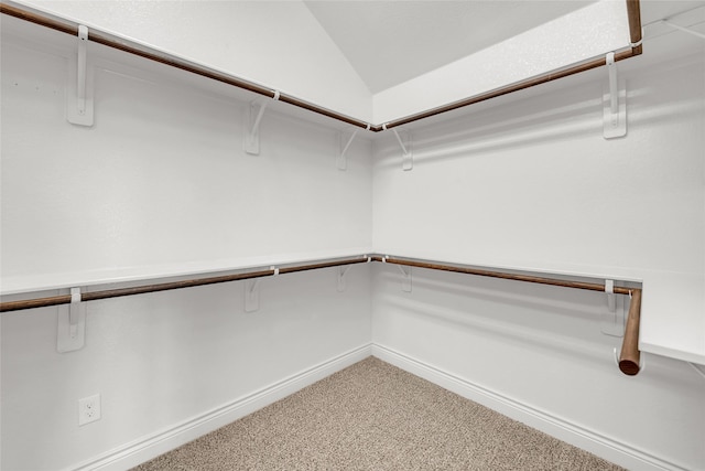 spacious closet featuring lofted ceiling and carpet flooring