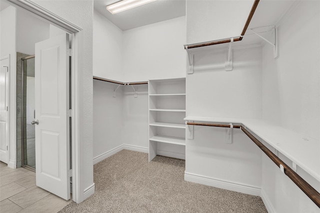 spacious closet featuring light colored carpet