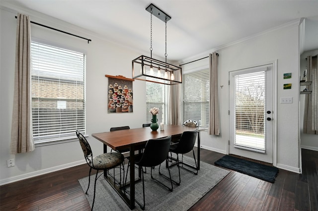 dining space with a wealth of natural light, crown molding, and dark wood-type flooring