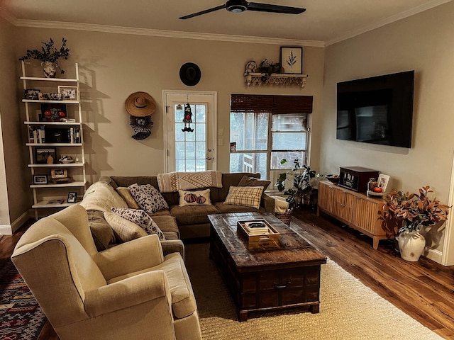 living room with ceiling fan, crown molding, and hardwood / wood-style flooring