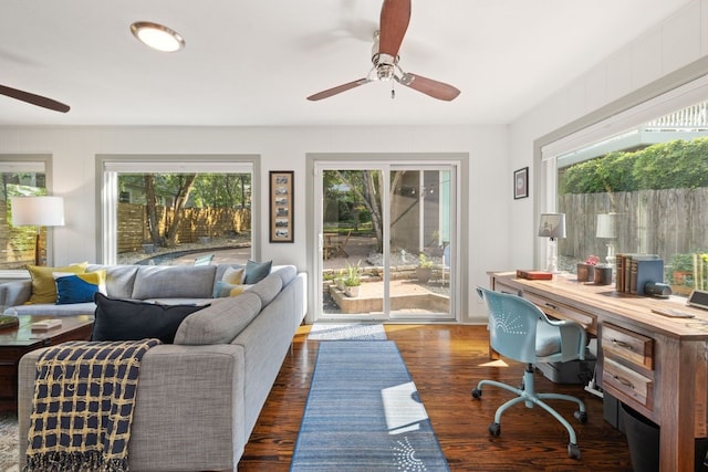 office area with ceiling fan, plenty of natural light, and dark hardwood / wood-style floors