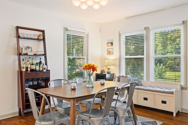 dining space featuring dark wood-type flooring