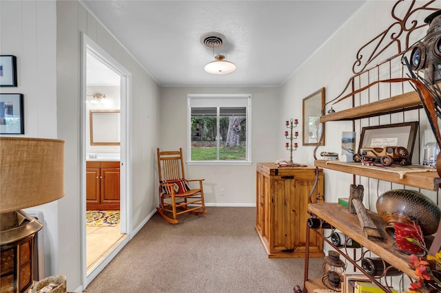 interior space with light colored carpet and crown molding