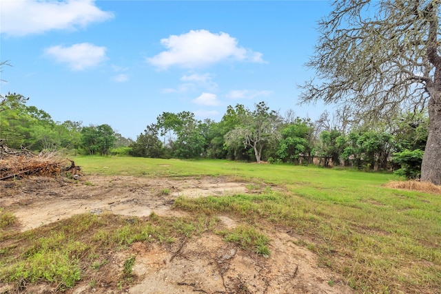 view of yard featuring a rural view