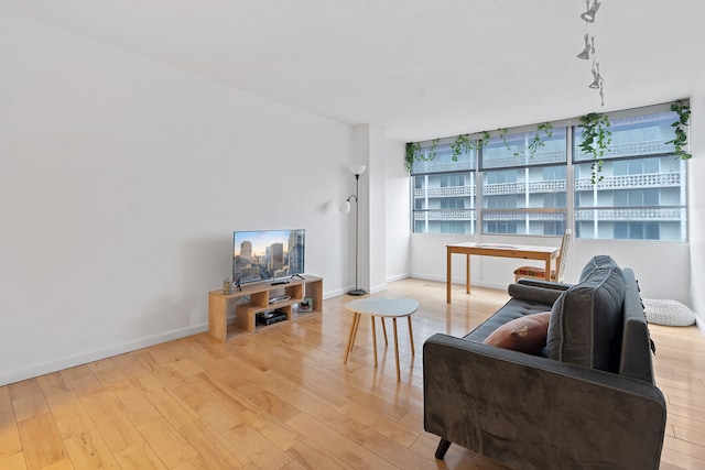 living room featuring light wood-type flooring