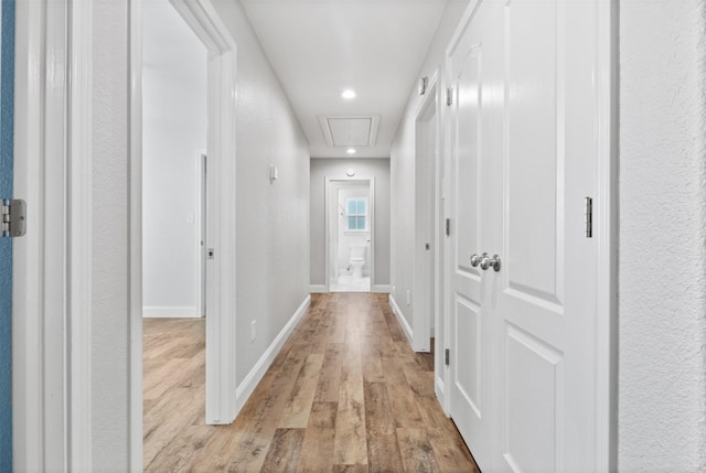 hallway featuring light hardwood / wood-style flooring