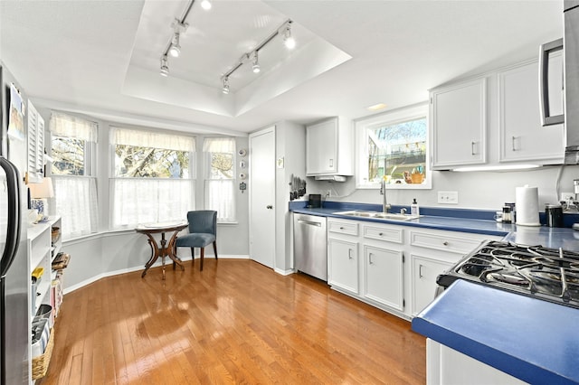 kitchen featuring a raised ceiling, appliances with stainless steel finishes, plenty of natural light, sink, and white cabinetry