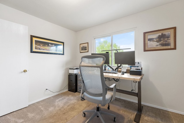 office featuring carpet flooring