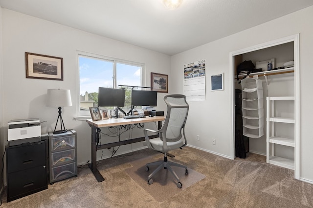 view of carpeted office space