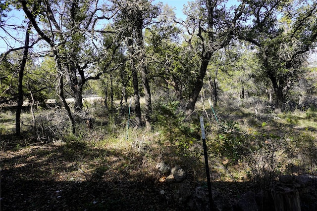 3607 Crawford Rd, Spicewood TX, 78669 land for sale