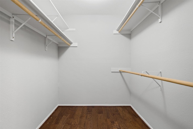 spacious closet featuring hardwood / wood-style floors