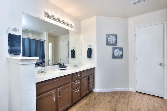 bathroom with wood-type flooring and vanity