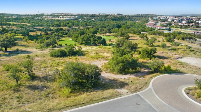 Listing photo 3 for 12801 Flowering Senna Bnd, Austin TX 78738