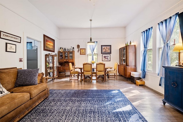 living room with hardwood / wood-style flooring and plenty of natural light