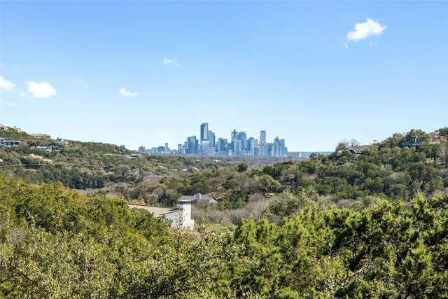 1603 Twilight Ridge Dr, Austin, TX 78746 - skyline view