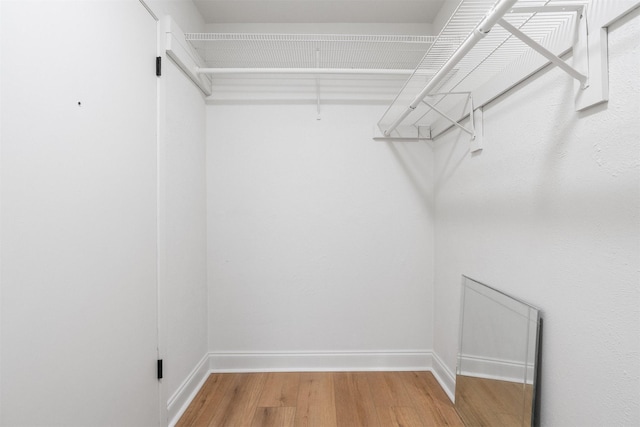 spacious closet featuring hardwood / wood-style flooring