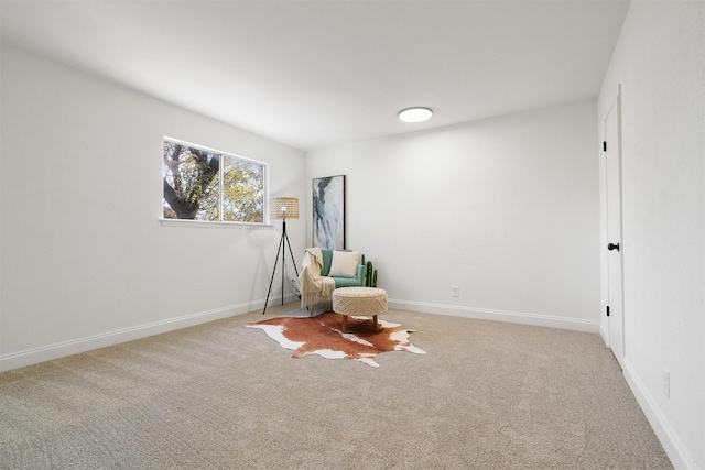 unfurnished room featuring carpet floors