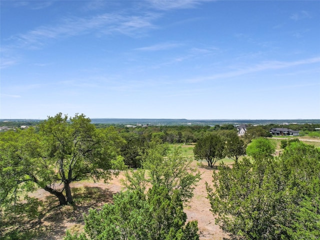 birds eye view of property featuring a rural view