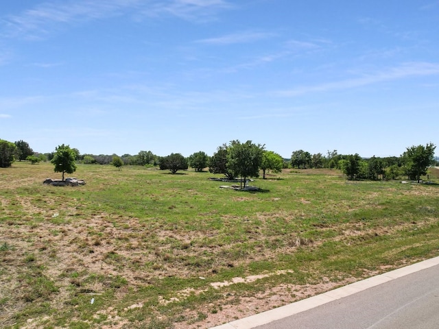 view of yard featuring a rural view