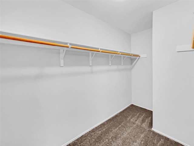 spacious closet featuring dark colored carpet