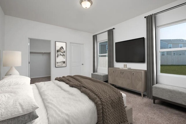 carpeted bedroom featuring a walk in closet, a closet, and multiple windows